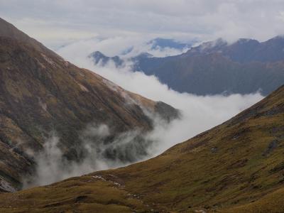 Kepler Track